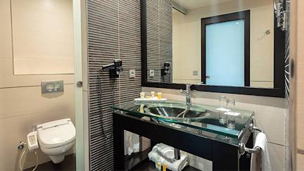 Abades-Nevada-Palace-bathroom