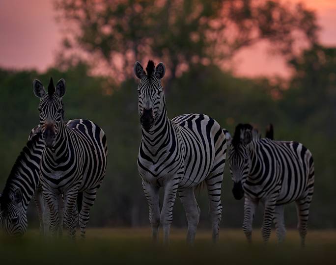 sunset-game-drive-kruger-national-park-south-africa-optional-excursion