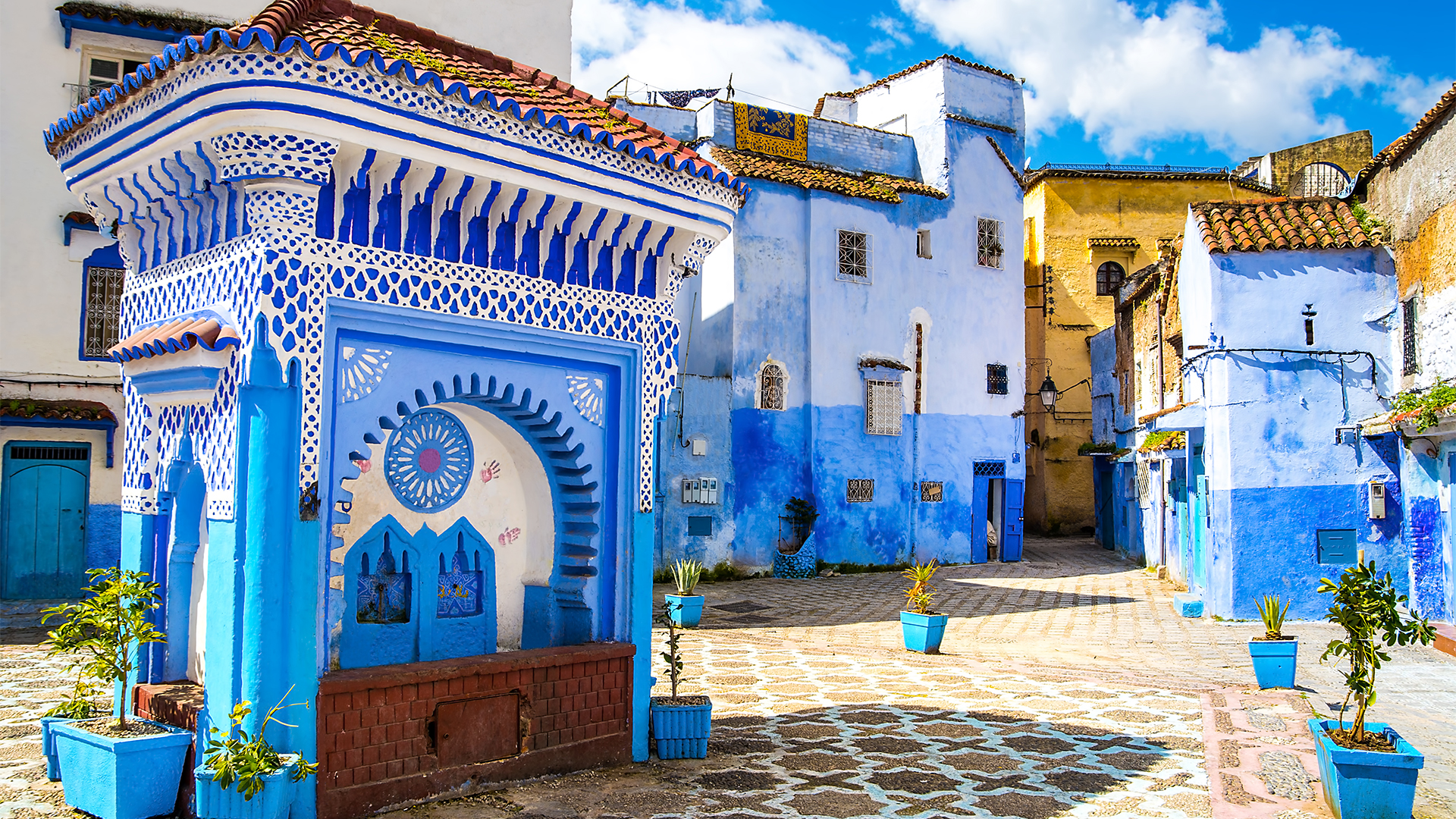 Experience a guided tour of Chefchaouen