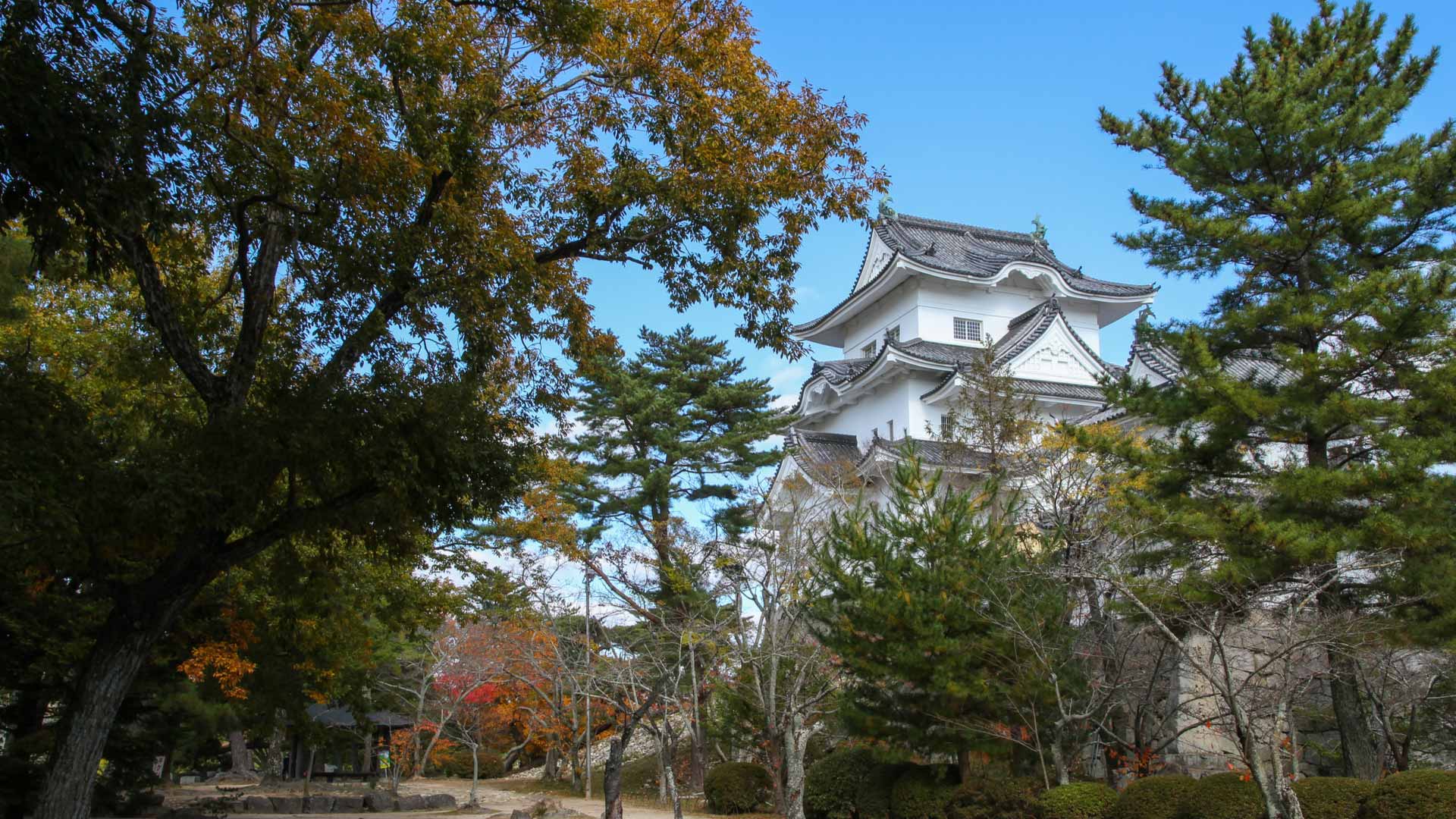iga-ueno-castle-iga-ninja-museum-japan