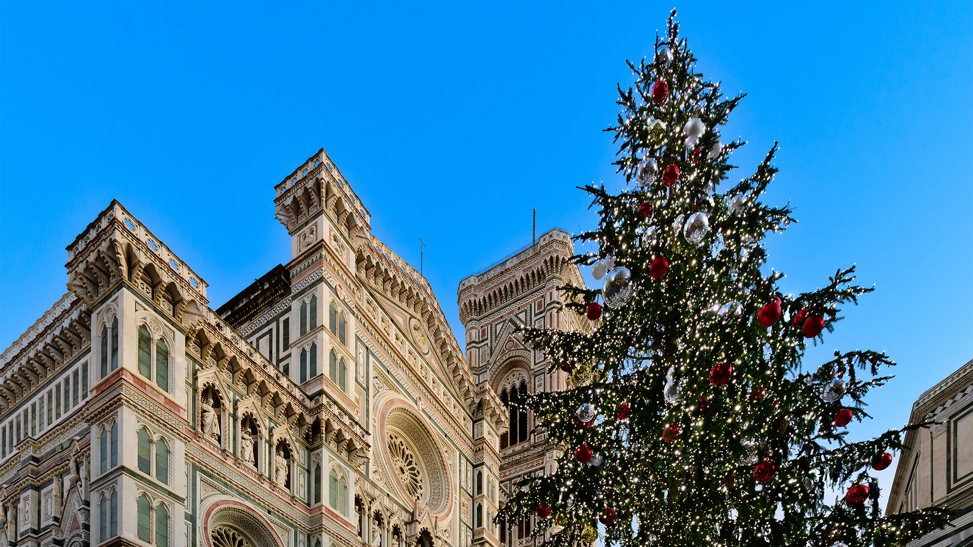 Christmas-tree-in-florence-santa-maria-del-fiore-swiper-hero-gallery