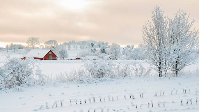 scenic-drive-through-the-swedish-countryside-winter-experience