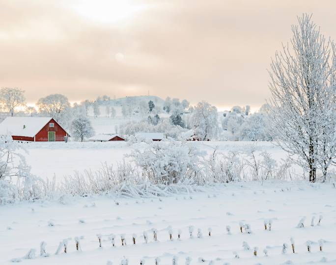 scenic-drive-through-the-swedish-countryside-winter-experience