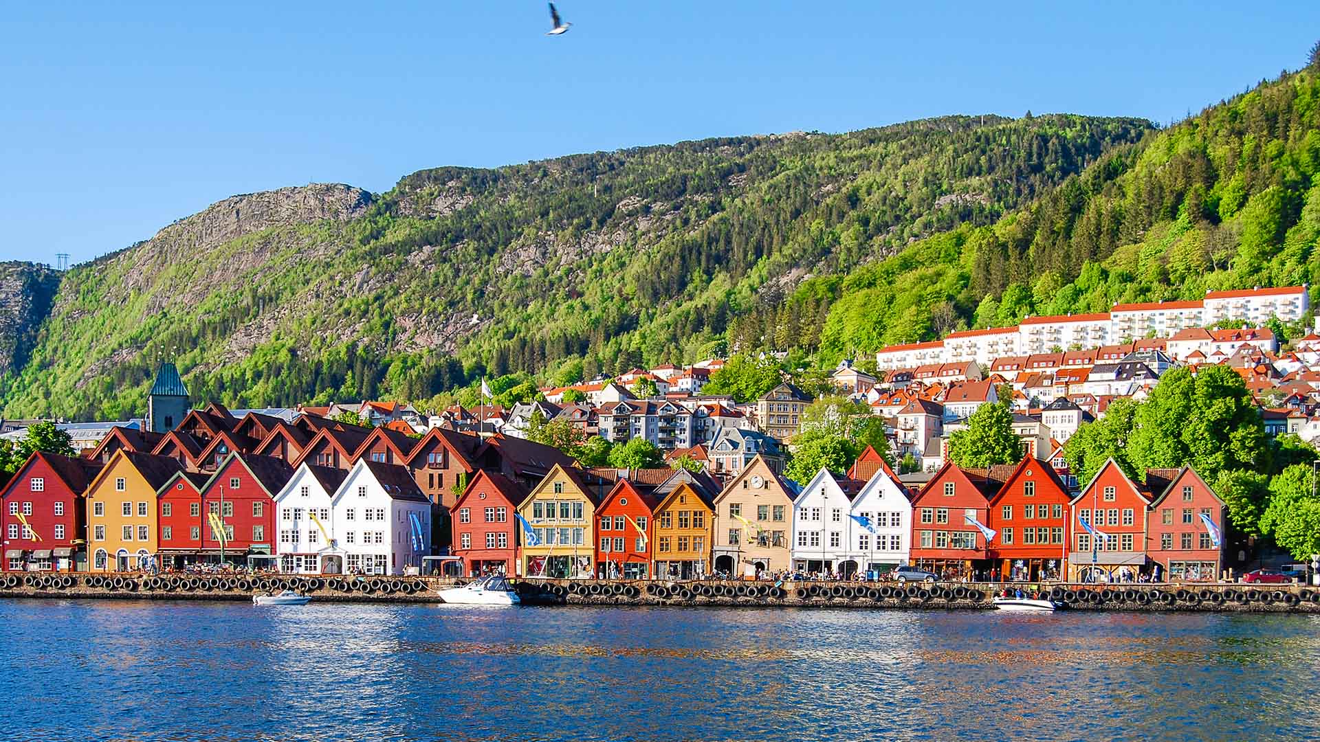 bergen-norway-fjords-scandinavia-tour