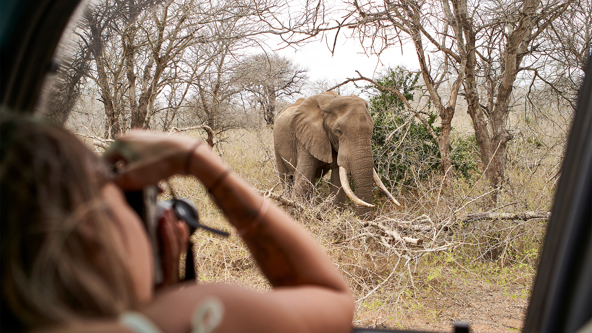 woman-taking-picture-elephant-kruger-nationa-park-south-africa-swiper-hero-gallery