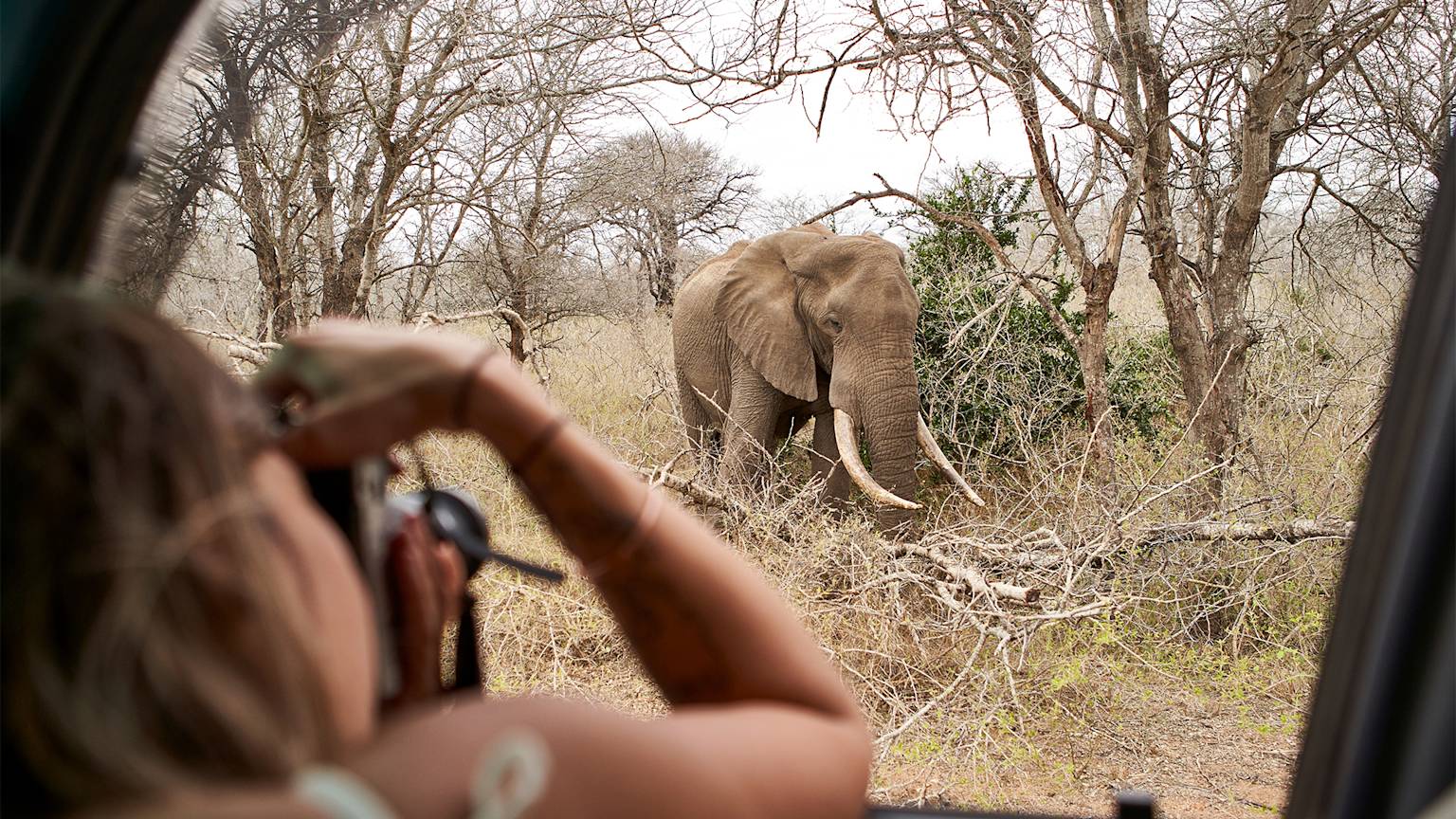 woman-taking-picture-elephant-kruger-nationa-park-south-africa-swiper-hero-gallery