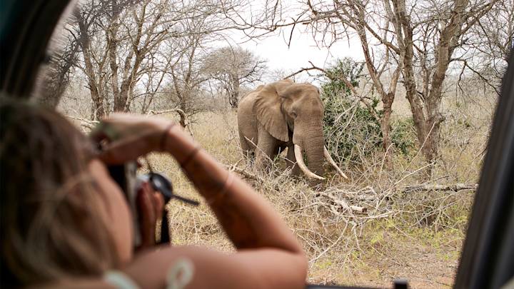 woman-taking-picture-elephant-kruger-nationa-park-south-africa-swiper-hero-gallery