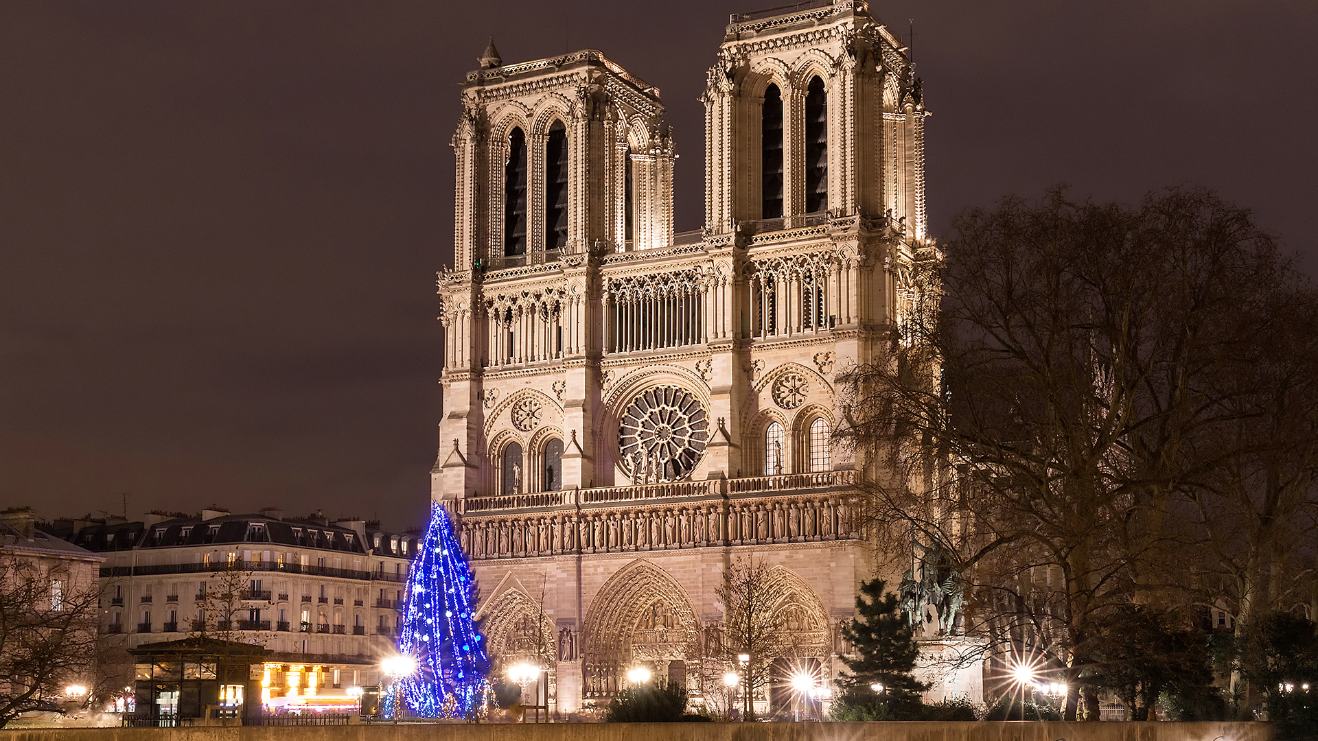 paris-france-notre-dame-winter-christmas-tree