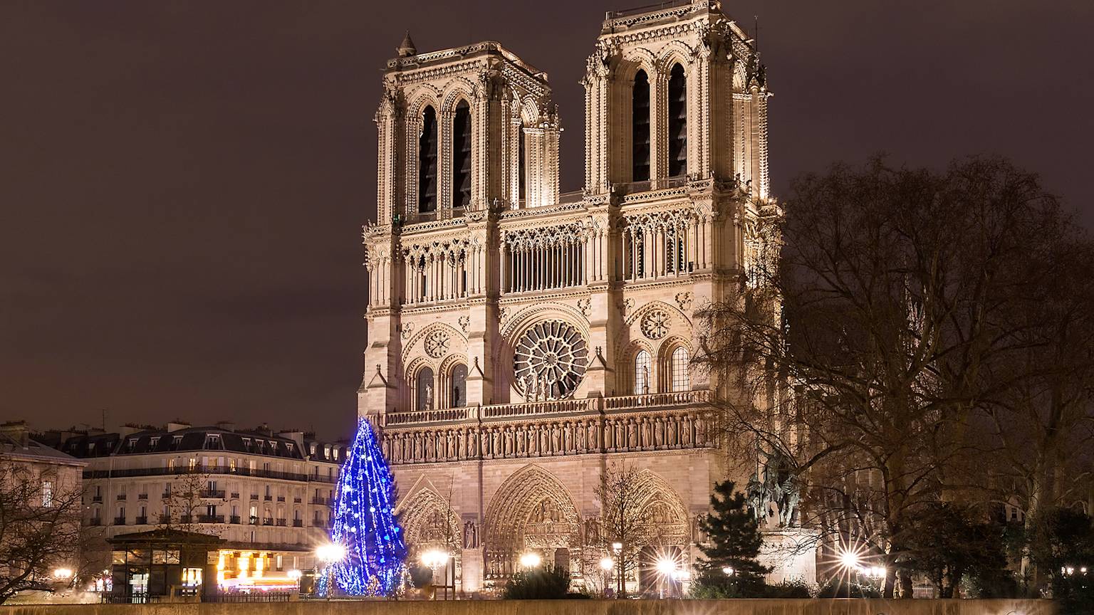 paris-france-notre-dame-winter-christmas-tree
