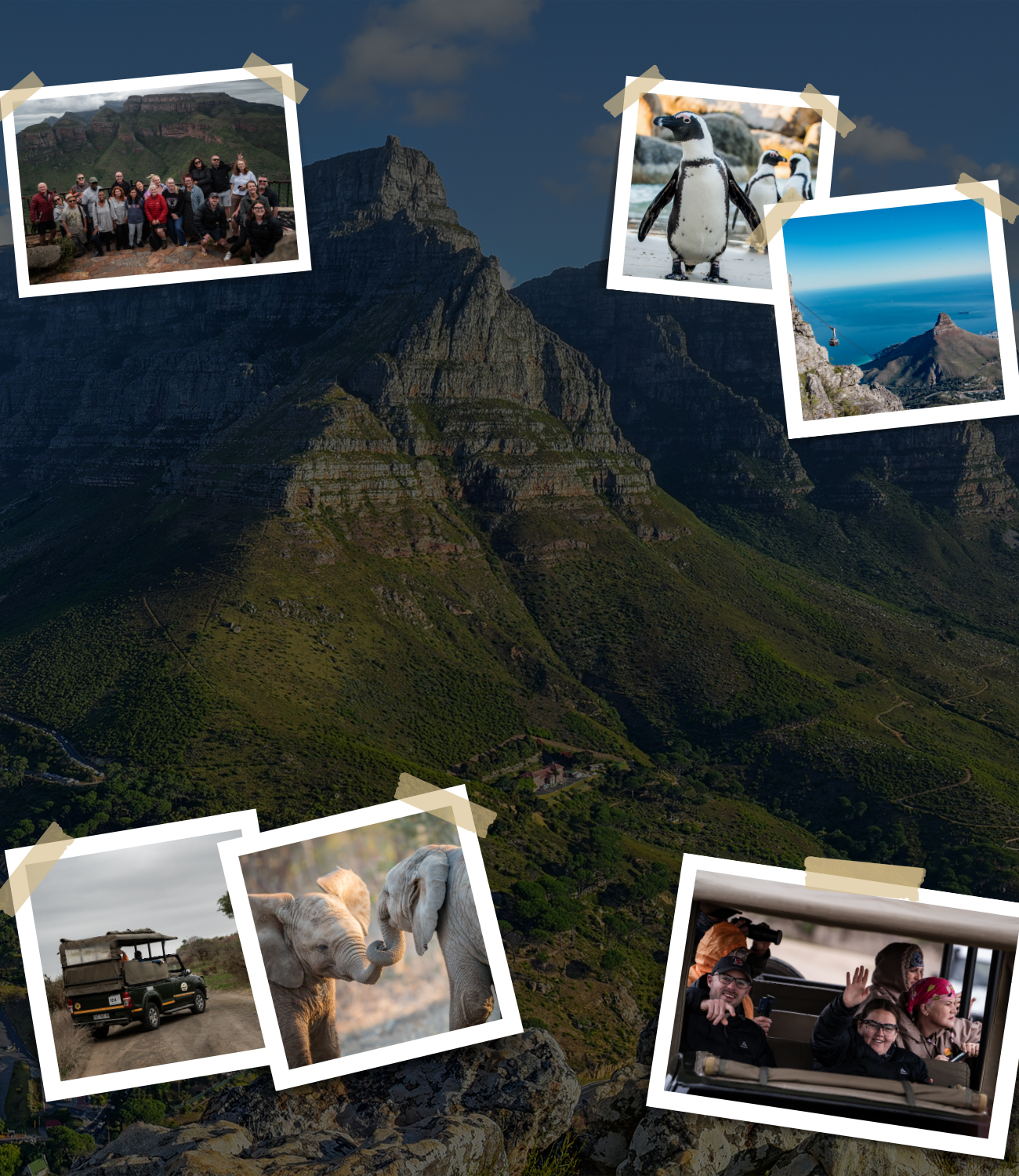 tour-leader-picks-willem-mobile