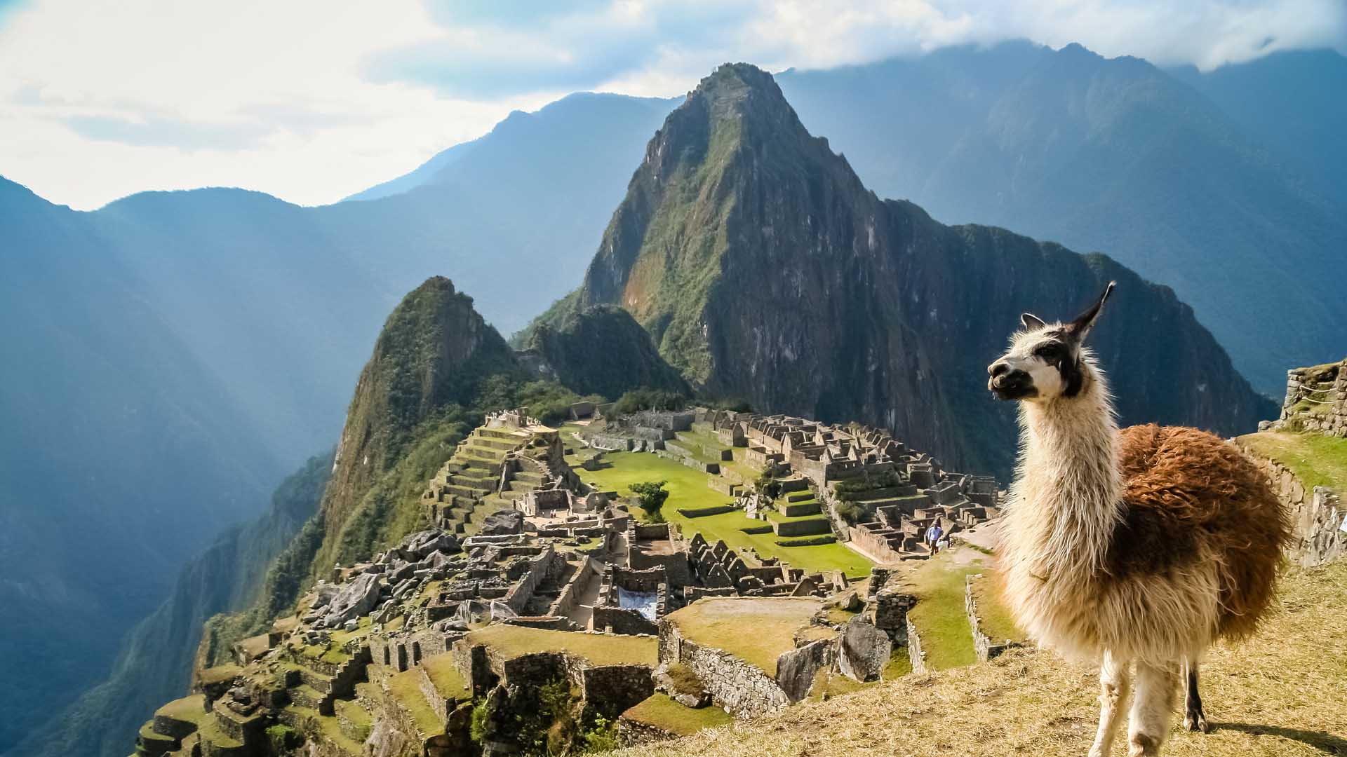 Llama-in-front-of-ancient-inca-town-of-Machu-Picchu-sam-day