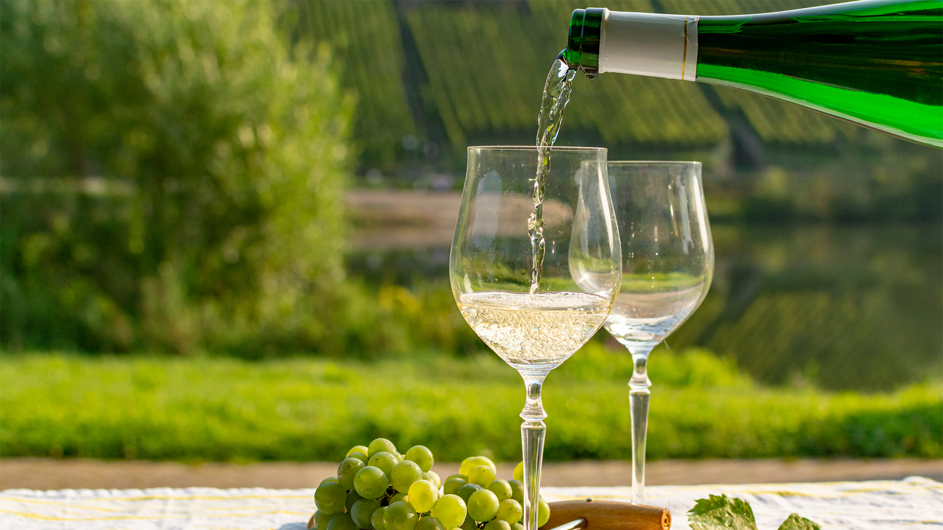 Rhine-Valley-wine-tasting-swiper-hero-gallery