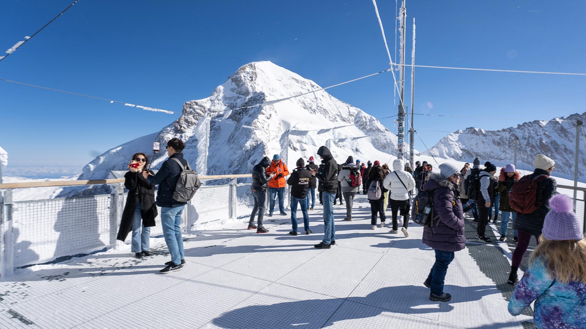 Europe Taster - Swiss