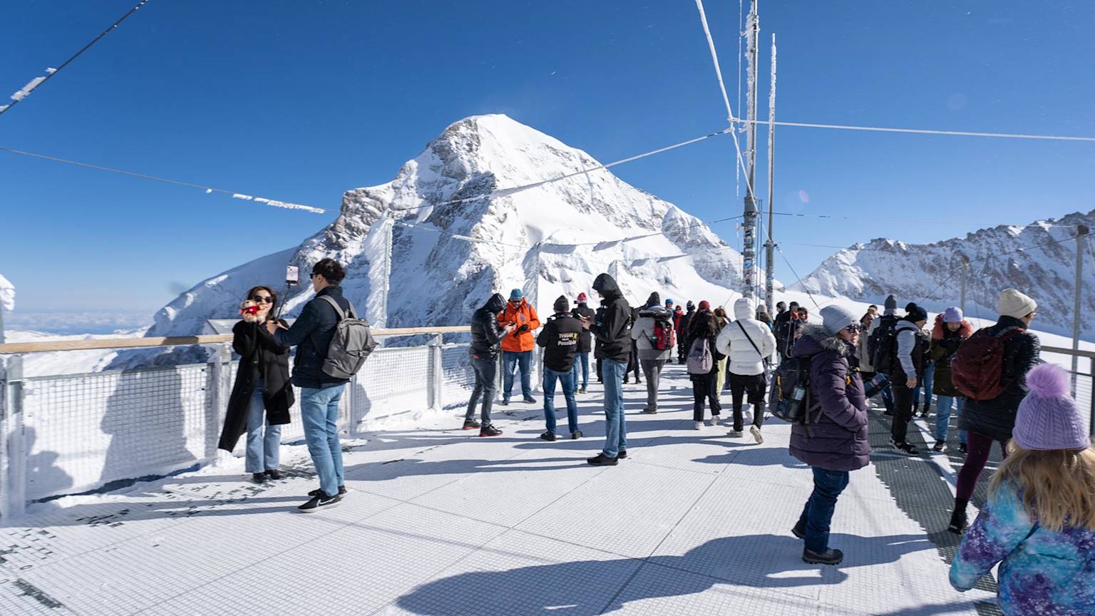Europe Taster - Swiss