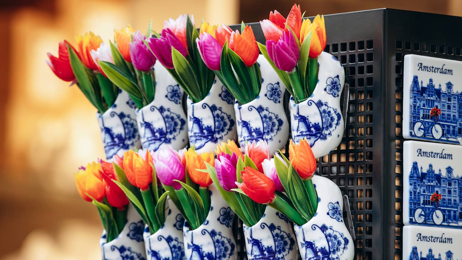 amsterdam-souvenir-tulips-netherlands