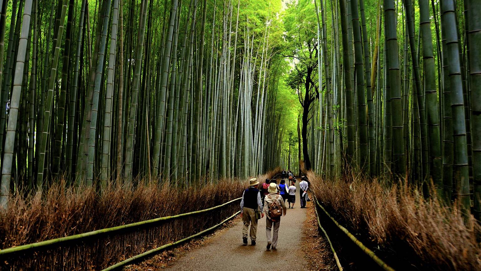 Japan-Arashiyama-Bamboo-Forest