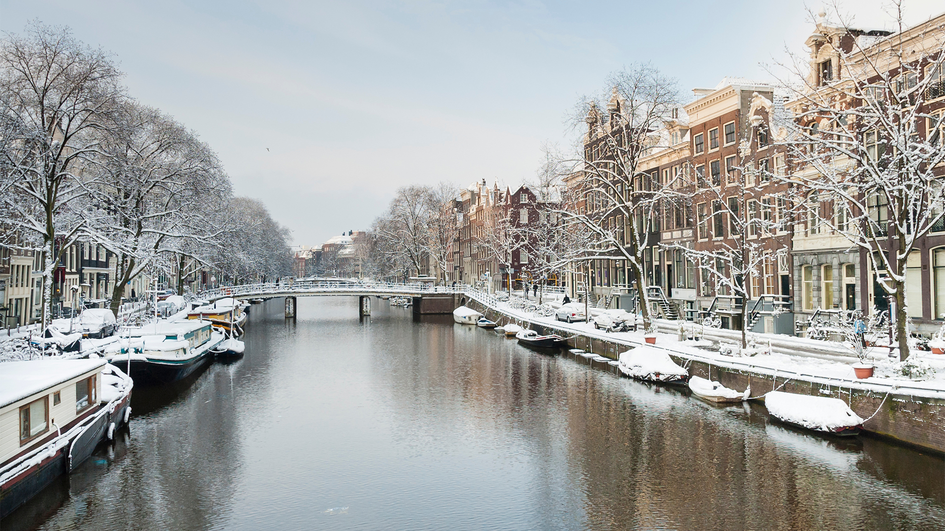 Cruise along the canals in Amsterdam