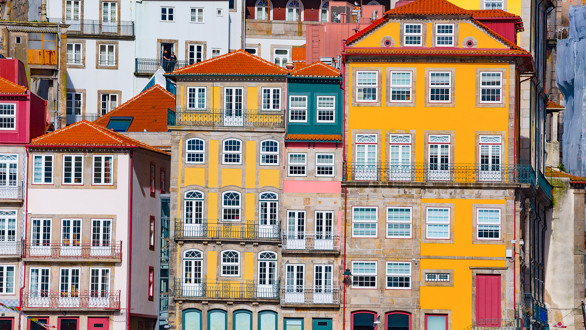 Enjoy a driving and walking tour of Porto