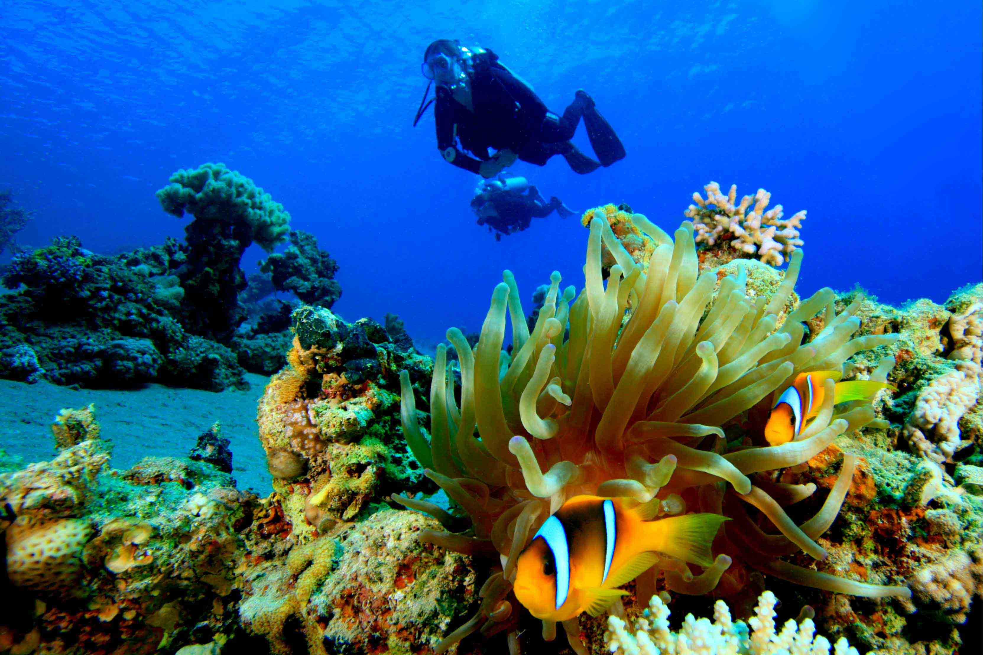 day7-egypt-hurghada-diving-red-sea-egypt-nile-jewel