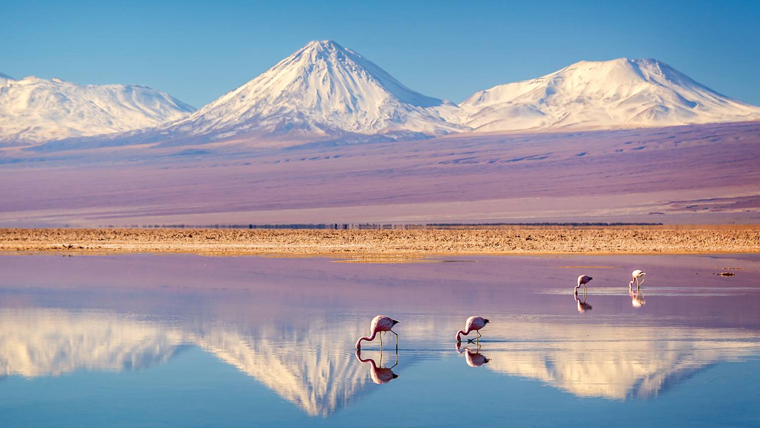 chile-country-listing-page-atacama-desert