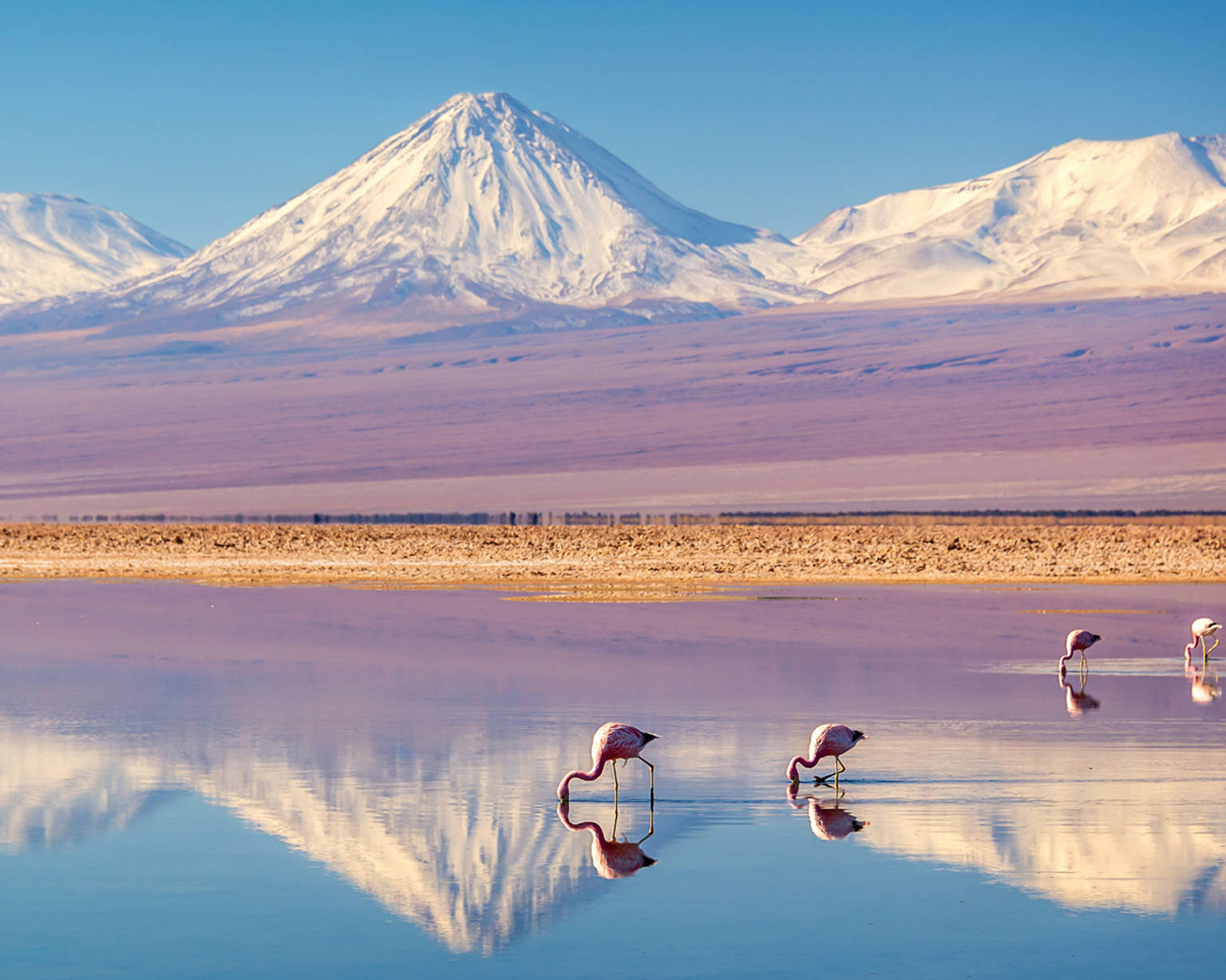 chile-country-listing-page-atacama-desert