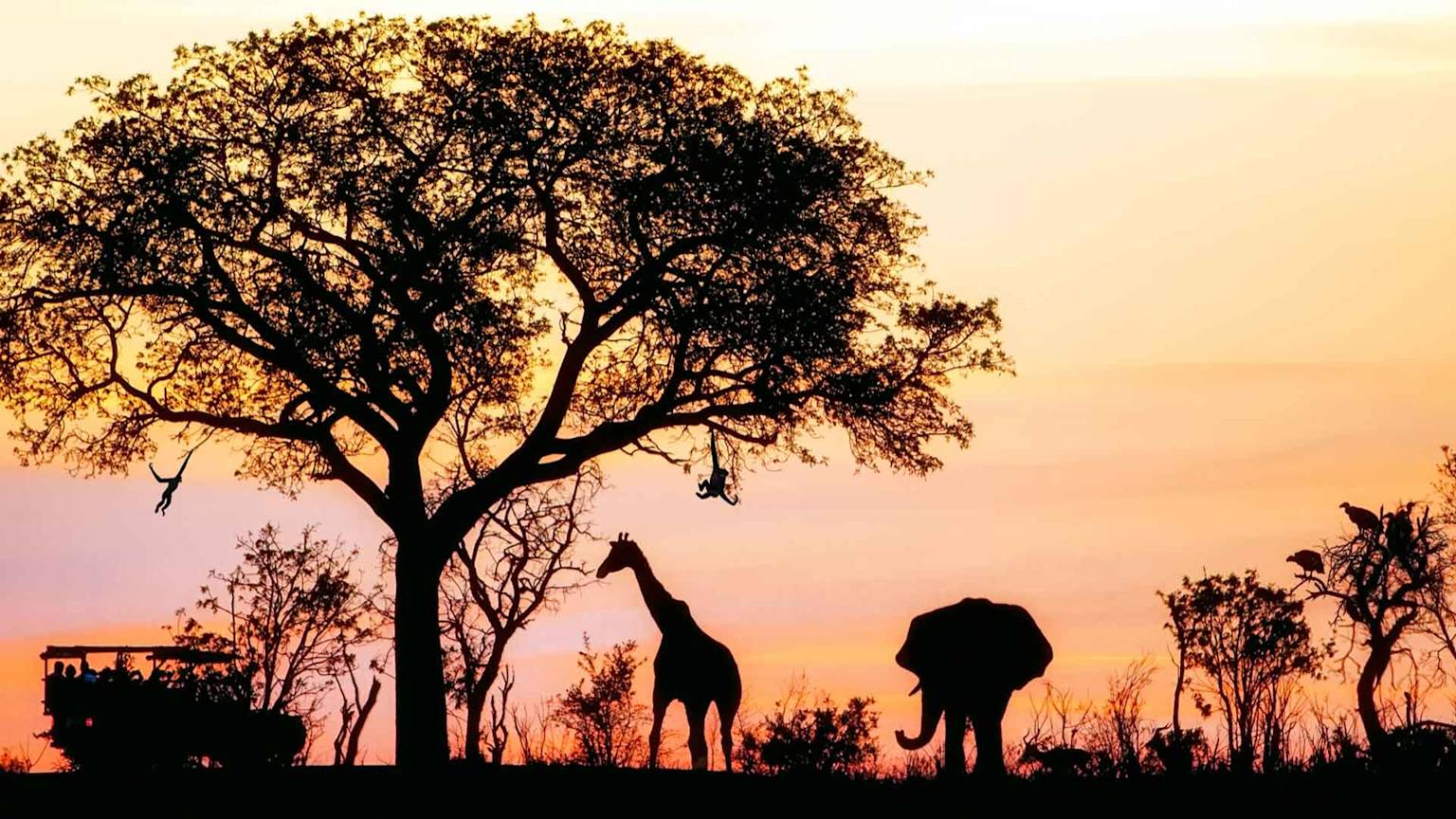 day-10-south-african-safari-animals-sunset-nelspruit-kryger-national-park-souh-africa-escape