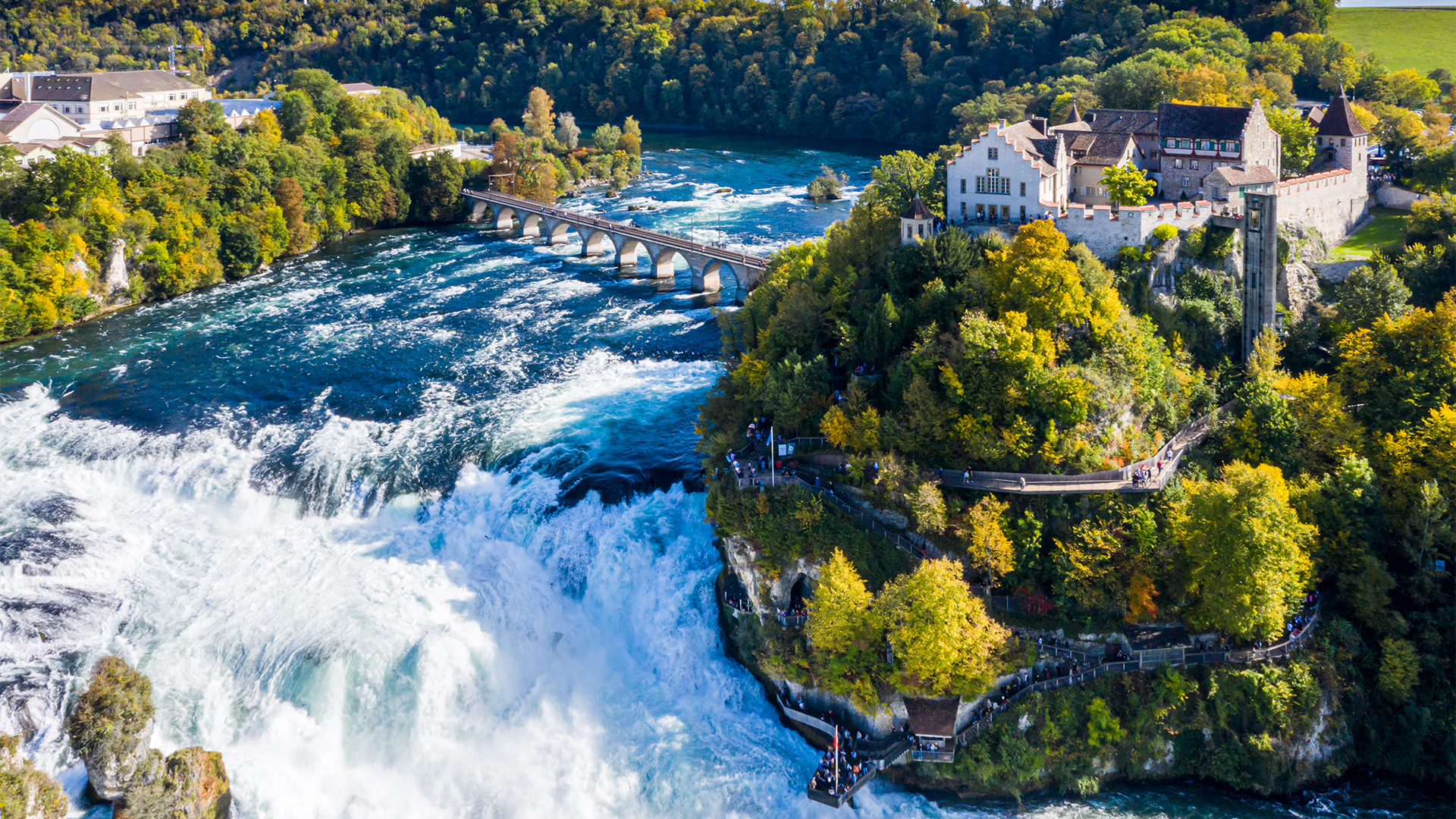 Experience the Rhine Falls