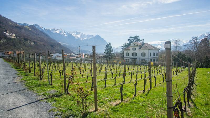 lichtenstein-country-listing-page-hofkellerei
