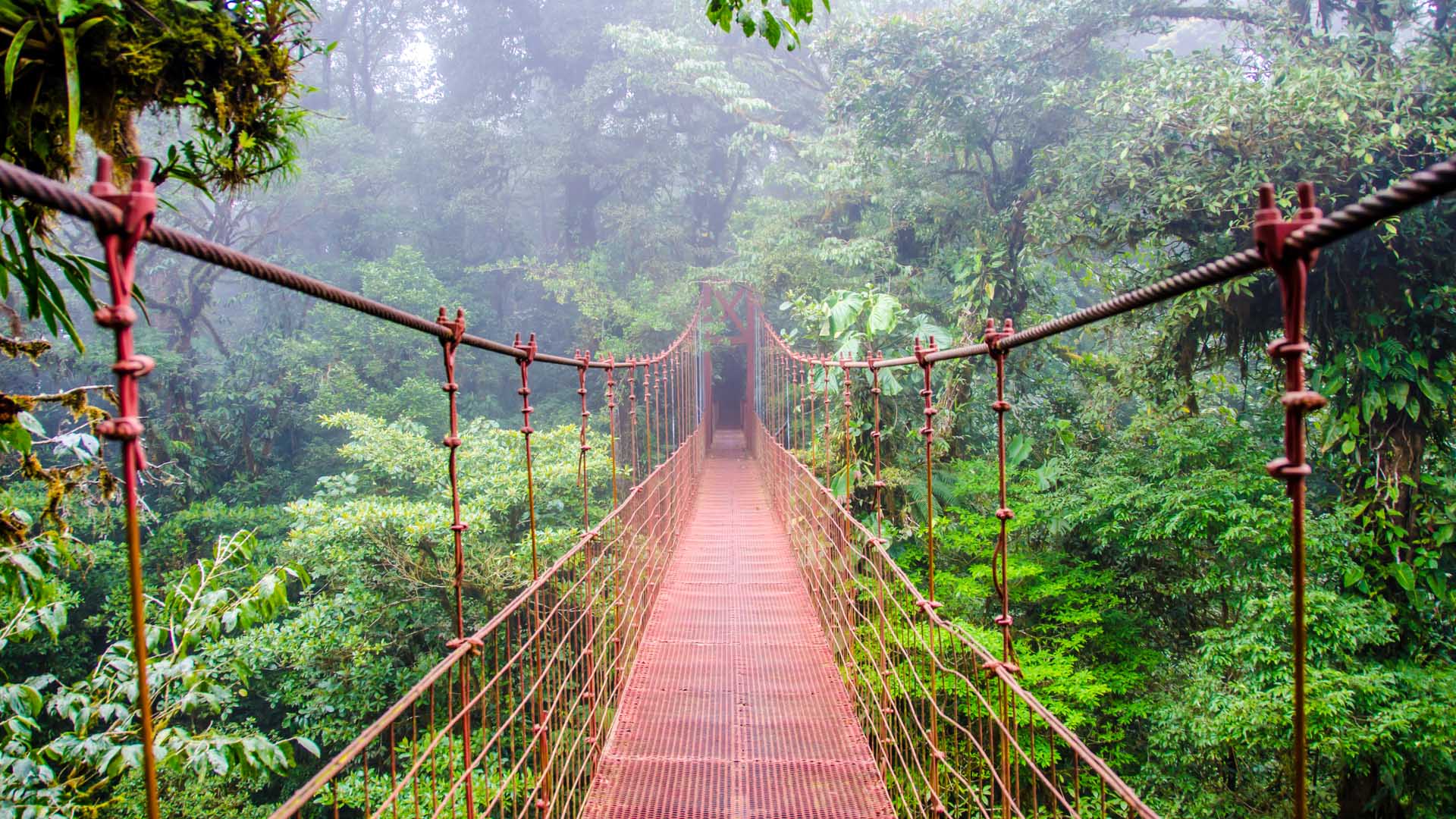 Hanging Bridges & Sloth Sanctuary