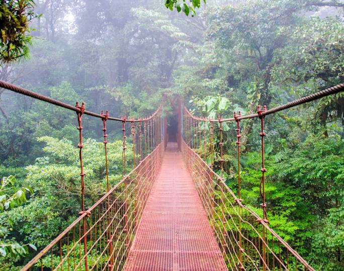 hanging-bridges-sloth-sanctuary-optional-excursion