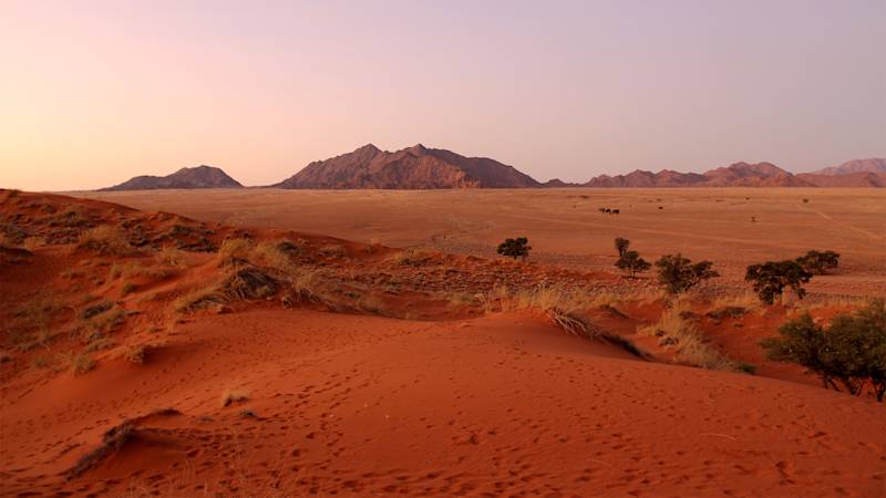 botswana-listing-page-kalahari-desert