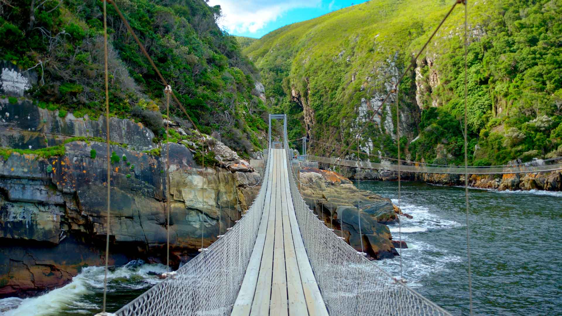 day-7-south-africa-bridge-tsitsikamma-national-park-garden-route-south-african-escape