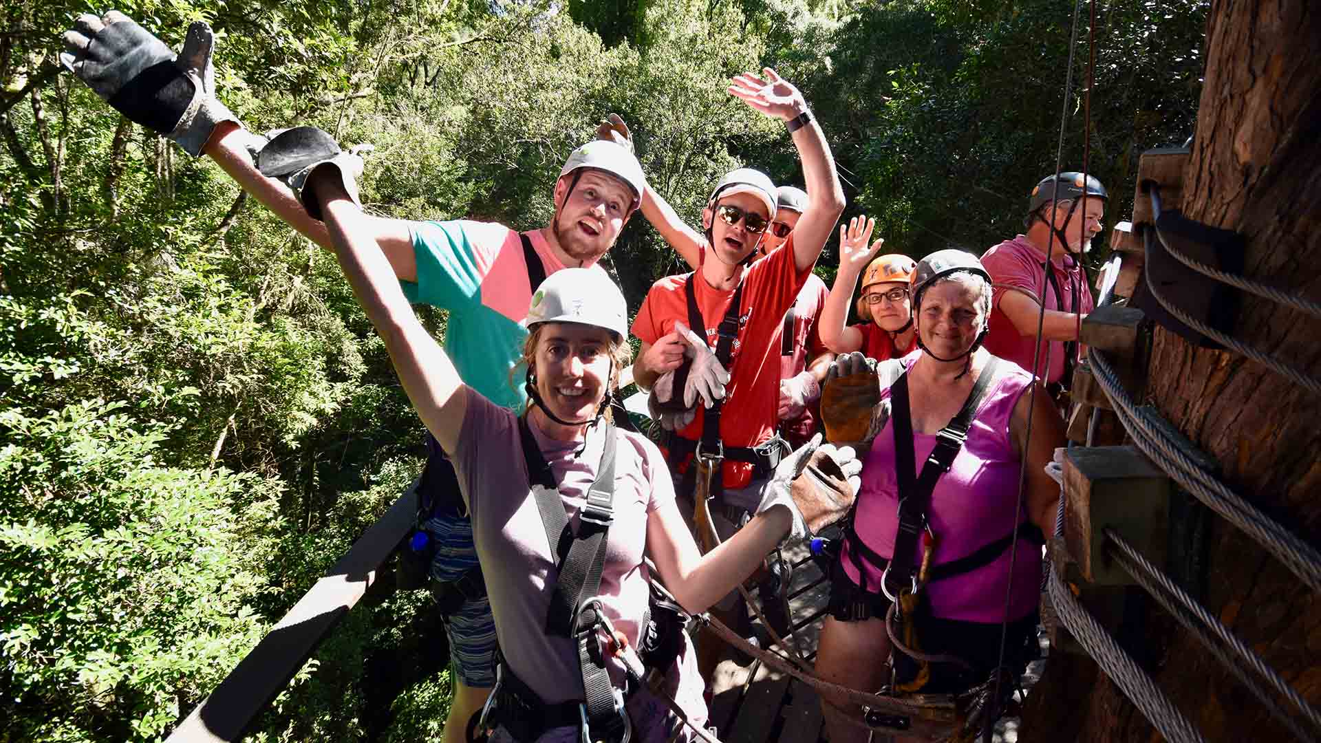 tsitsikamma-national-park-tree-canopy-zip-lining-south-africa