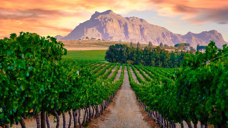 south-africa-country-listing-page-cape-town-cape-winelands