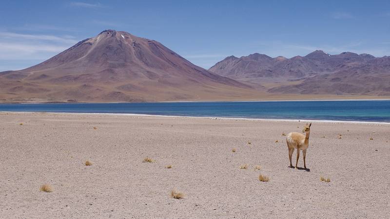 chile-country-listing-pages-atacama-desert