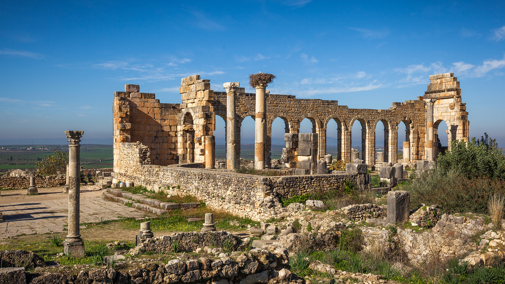 volubilis-and-meknes-day-trip