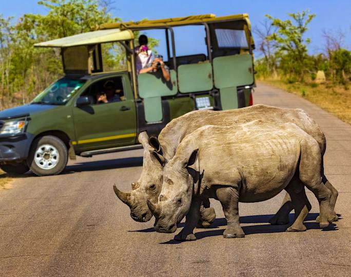 kruger-national-park-game-drive-experience