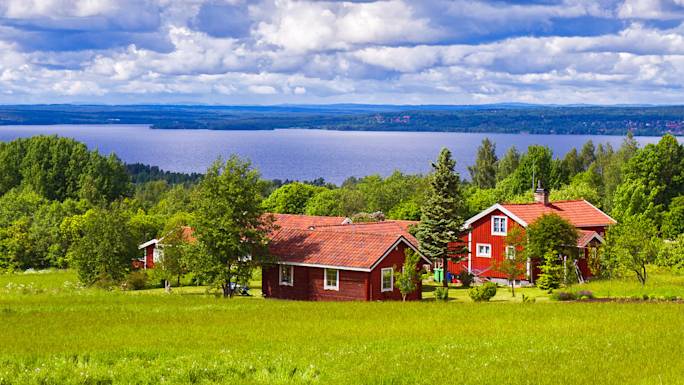 scenic-drive-through-the-swedish-countryside-experience