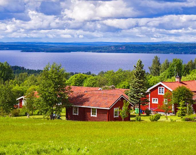 scenic-drive-through-the-swedish-countryside-experience