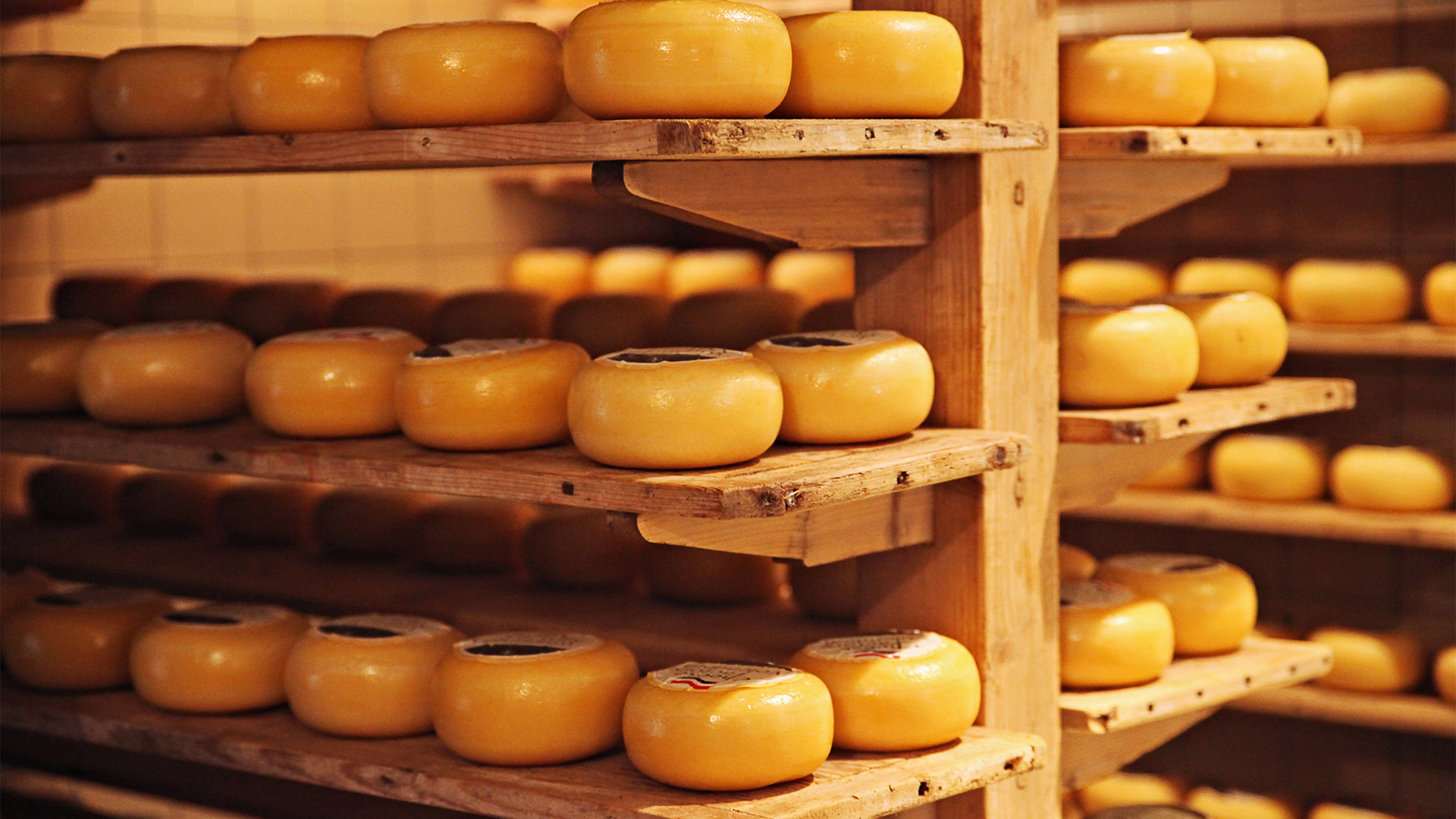 dutch-cheese-stacked-netherlands-swiper-hero-gallery