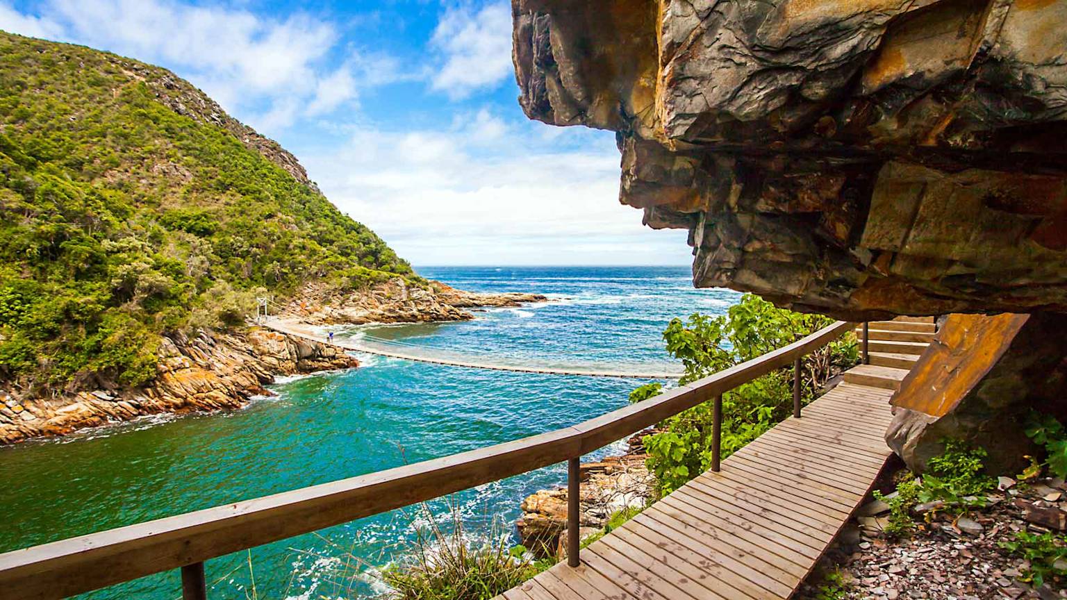 day7-tsitsikamma-national-park-chain-bridge-cape-town-and-the-garden-route-tour