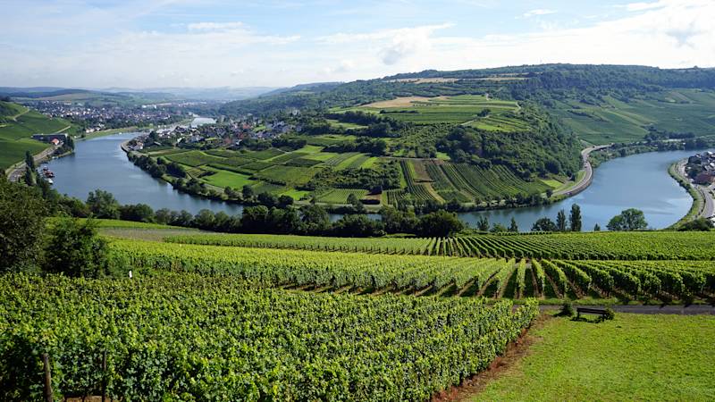 luxembourg-country-lisitng-page-moselle-valley