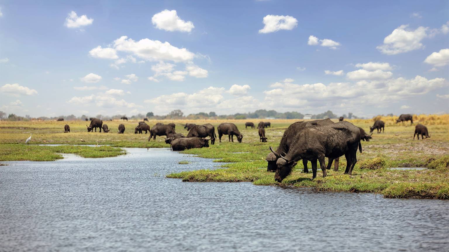 botswana-listing-page-hero-image