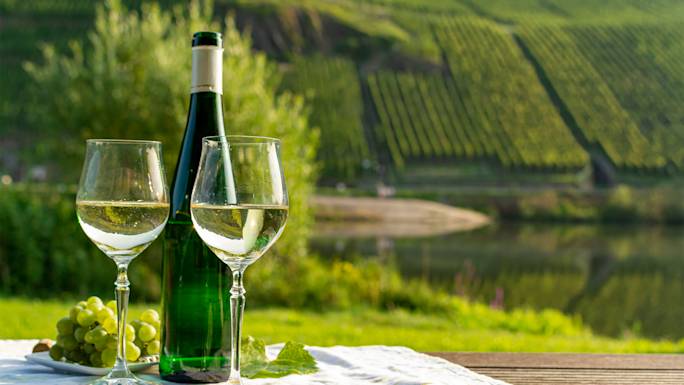 rhine-valley-wine-tasting-experience