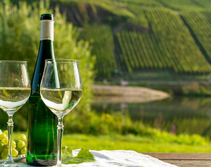 rhine-valley-wine-tasting-experience