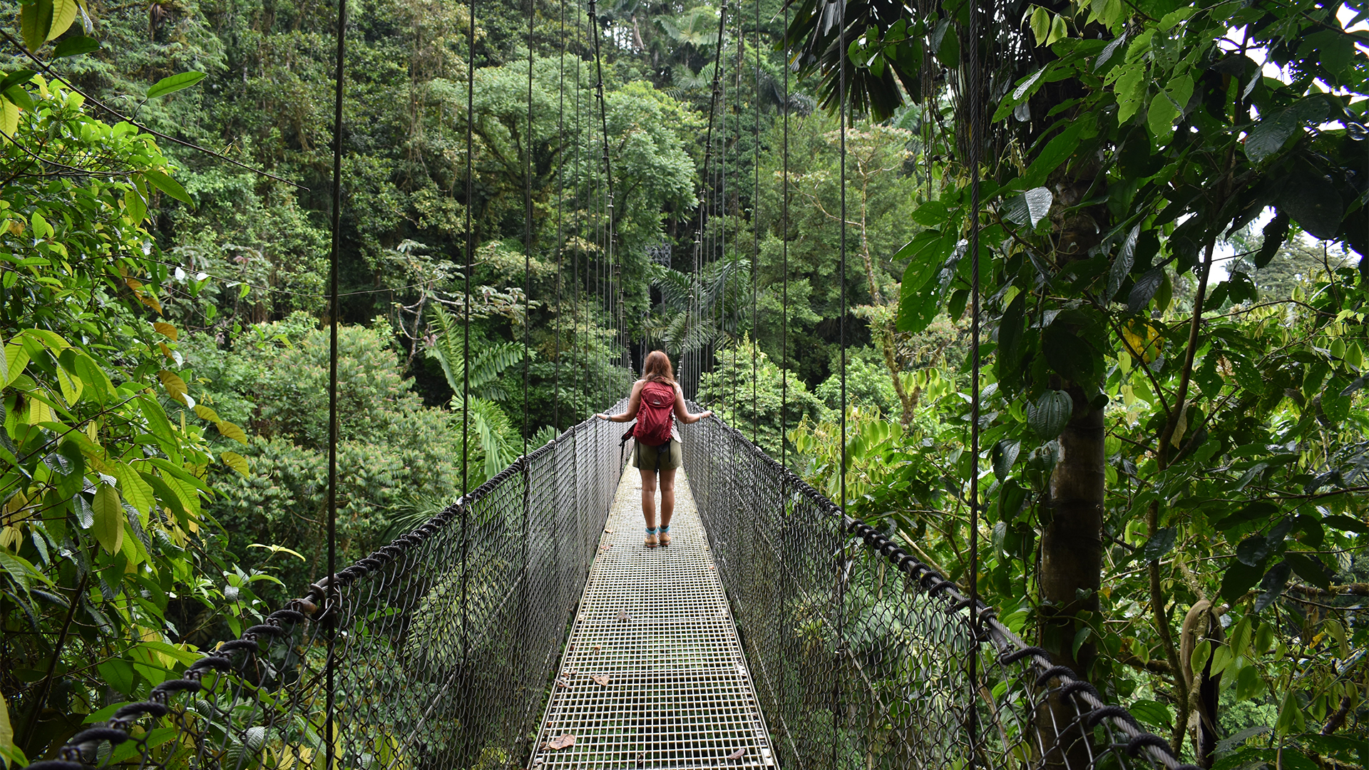 Costa-Rica-Monteverde-Hanging-Bridges