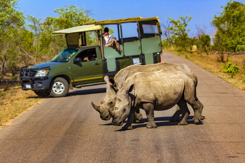 Full-Day-Game-Drive-optional-excursion