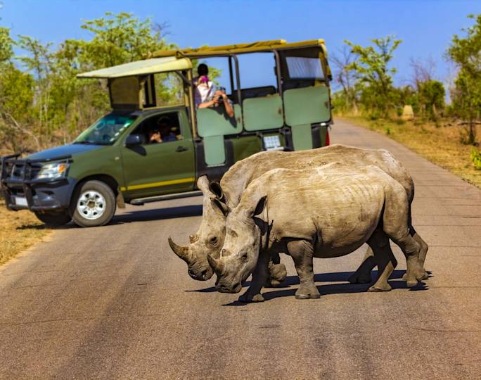 Full-Day-Game-Drive-optional-excursion