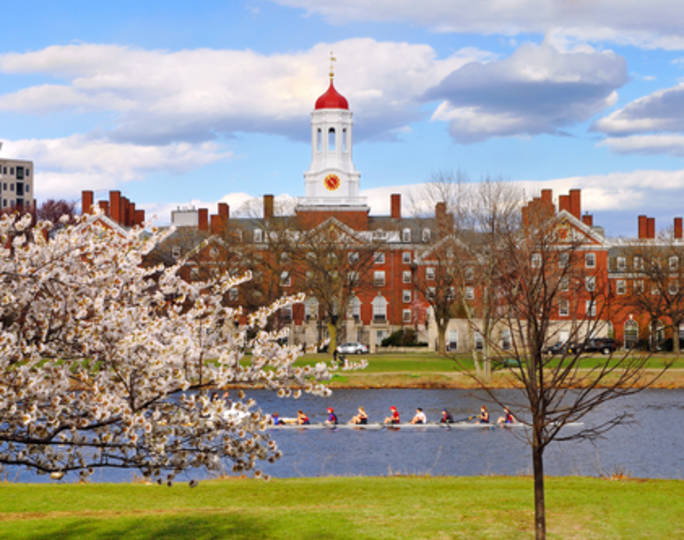 BostonHarvardOptional (1)