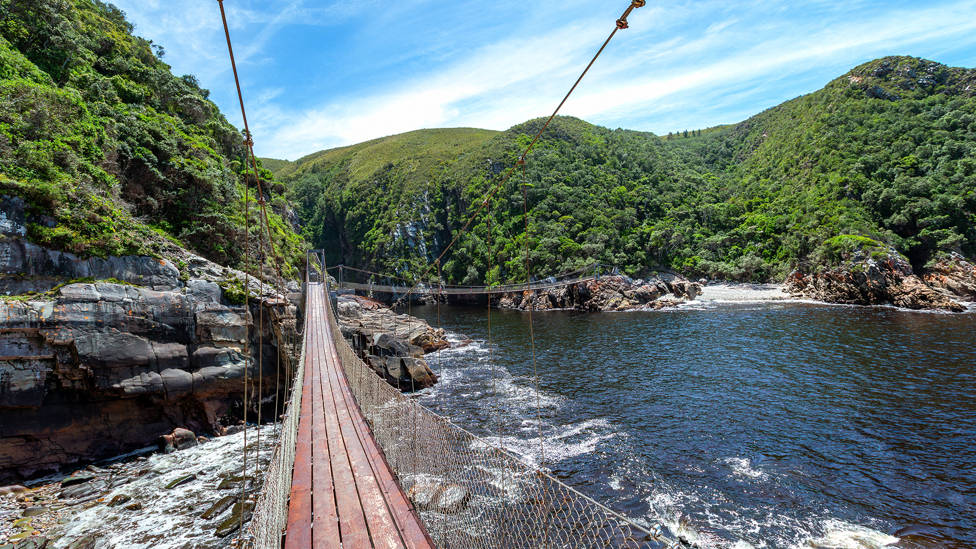 Explore Tsitsikamma National Park & Storms River mouth